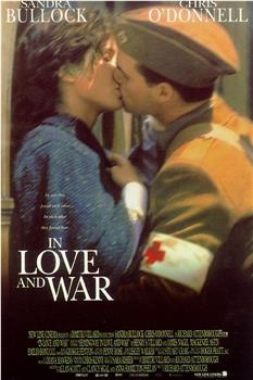 爱情与战争观看