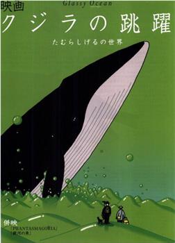 鲸的鱼跃观看