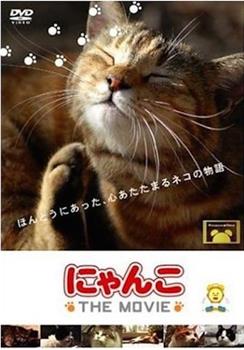 猫咪物语观看