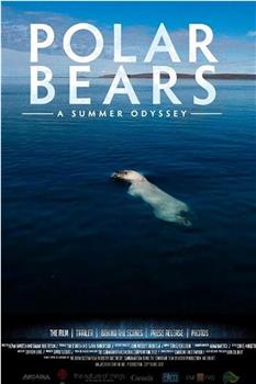 北极熊：一个夏天的奥德赛观看