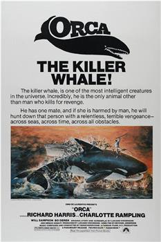 杀人鲸观看