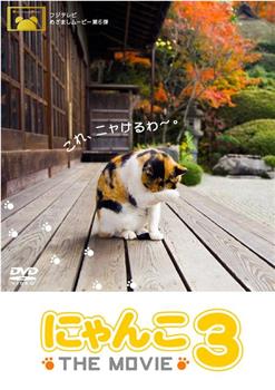 猫咪物语3观看