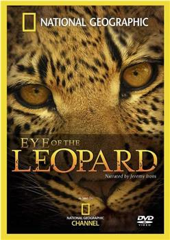 国家地理：豹的眼睛观看