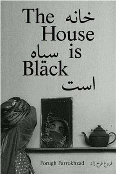 房屋是黑的观看