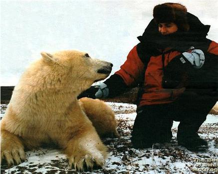 伊万·麦格雷戈探访野生北极熊观看