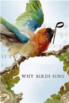 鸟儿为何歌唱观看