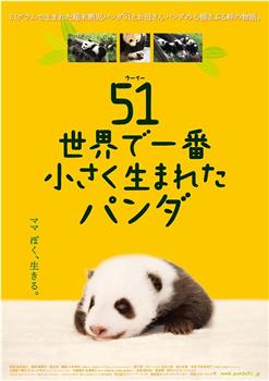 大熊猫51的故事观看