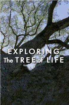 探索生命之树观看