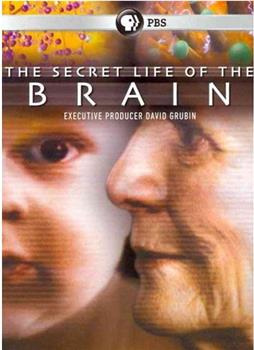 The Secret Life of the Brain观看