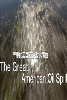 美国石油大泄漏观看