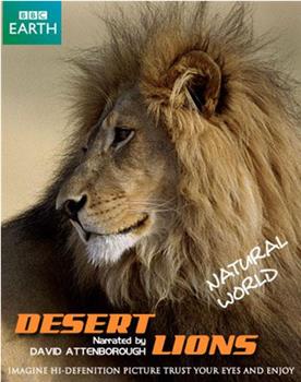 自然世界：沙漠狮观看
