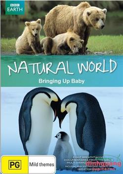 BBC 自然世界 2009 动物母性观看