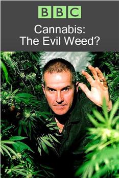 BBC 地平线系列：大麻：罪恶之种？观看
