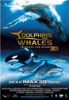 海豚和鲸鱼 3D观看