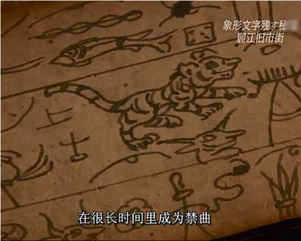 丽江旧市街-诞生东巴象形文字的秘境观看