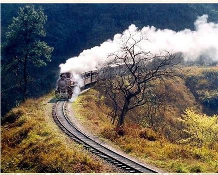 魅力的中国铁道风景观看