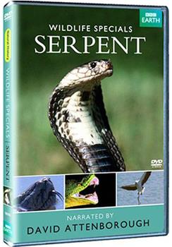 野生动物系列—蛇观看