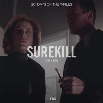 "The X Files" SE 8.8 Surekill观看