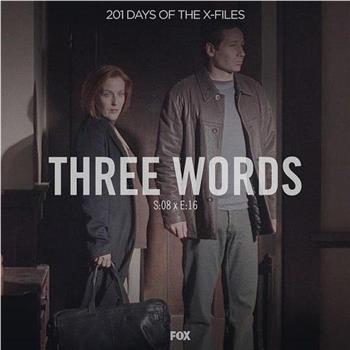 "The X Files" 8.16 Three Words观看