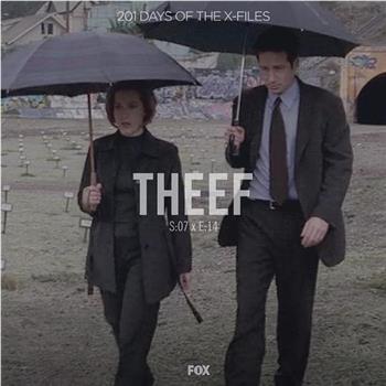 "The X Files" SE 7.14 Theef观看