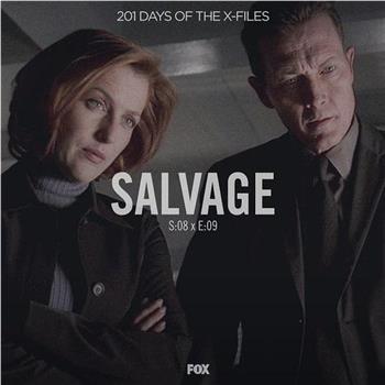 "The X Files" SE 8.9 Salvage观看