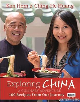 发现中国：美食之旅观看