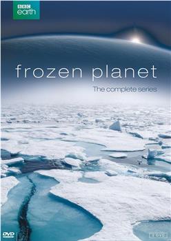 冰冻星球 第一季观看