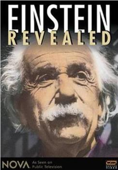 爱因斯坦的秘密观看