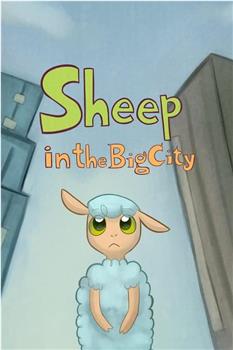 城市小绵羊观看