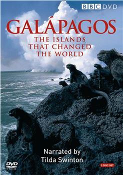 加拉帕戈斯群岛观看