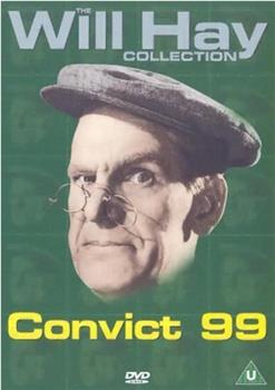 Convict 99观看