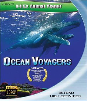 动物星球系列：鲸奇之旅观看