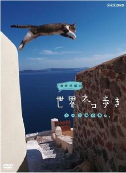 岩合光昭的猫步走世界观看