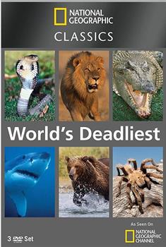 世界致命动物系列：亚太地区篇观看