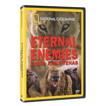 国家地理：永恒的敌人 狮子和鬣狗观看