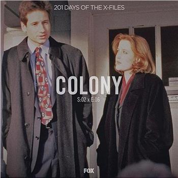 "The X Files"  Season 2, Episode 16: Colony观看