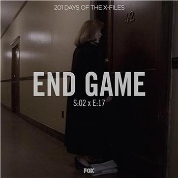 "The X Files"  Season 2, Episode 17: End Game观看