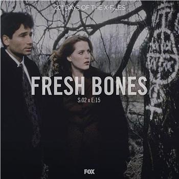 "The X Files"  Season 2, Episode 15: Fresh Bones观看