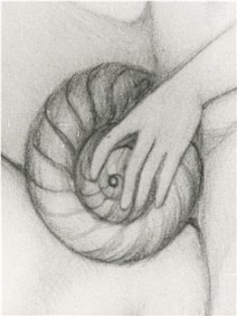 Escargot de Venus观看