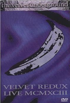Velvet Underground: Velvet Redux Live MCMXCIII观看