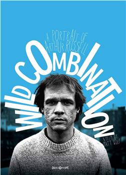 Wild Combination: A Portrait of Arthur Russell观看