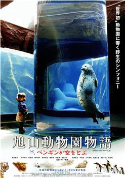 旭山动物园物语：空中飞翔的企鹅观看
