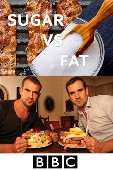 高糖VS高脂肪观看