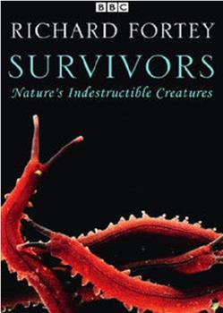 幸存者：自然界坚不可摧的生物观看