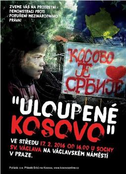 被盗的国土:科索沃观看