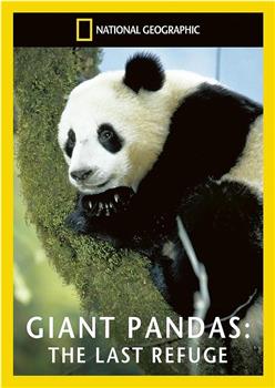 拯救大熊猫下载