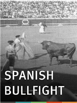 西班牙斗牛士观看