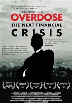 嗨过量——下一场金融危机观看