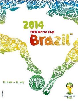 2014年巴西世界杯观看
