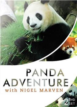 马文的熊猫王国历险记观看